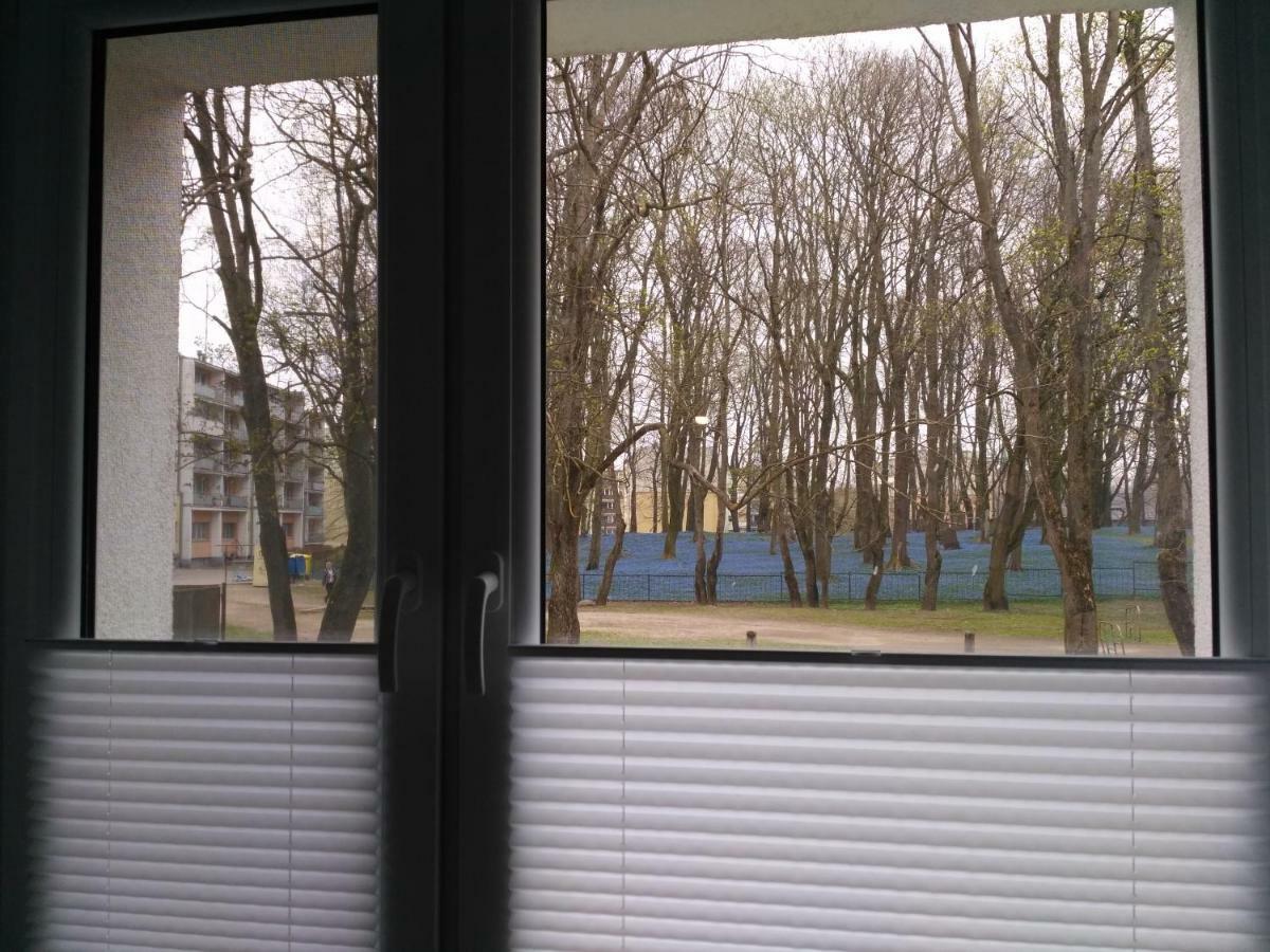 Apartament Unopuro W Centrum Gizycka ギジツコ エクステリア 写真
